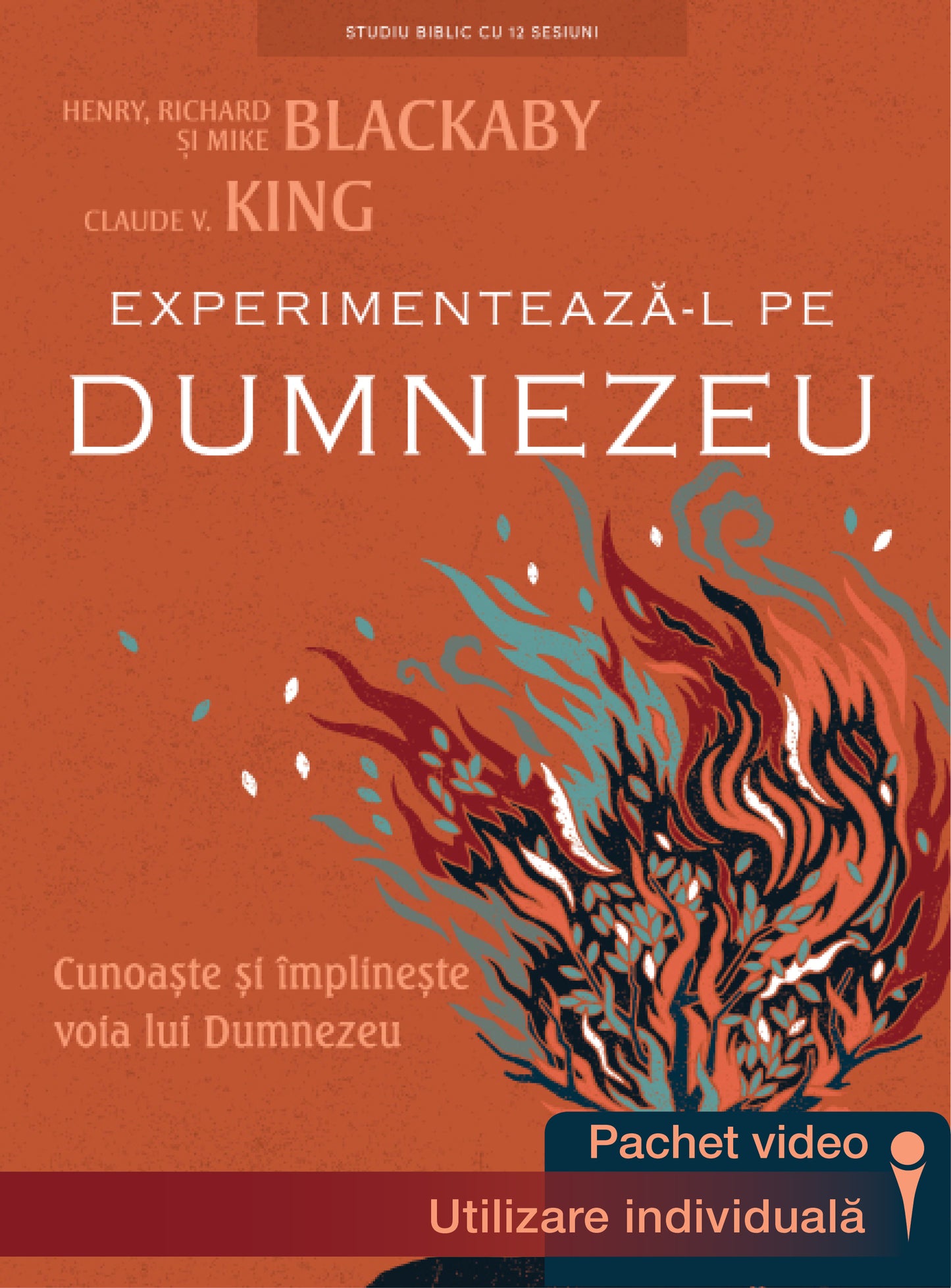 Experimentează-L pe Dumnezeu – Pachet video