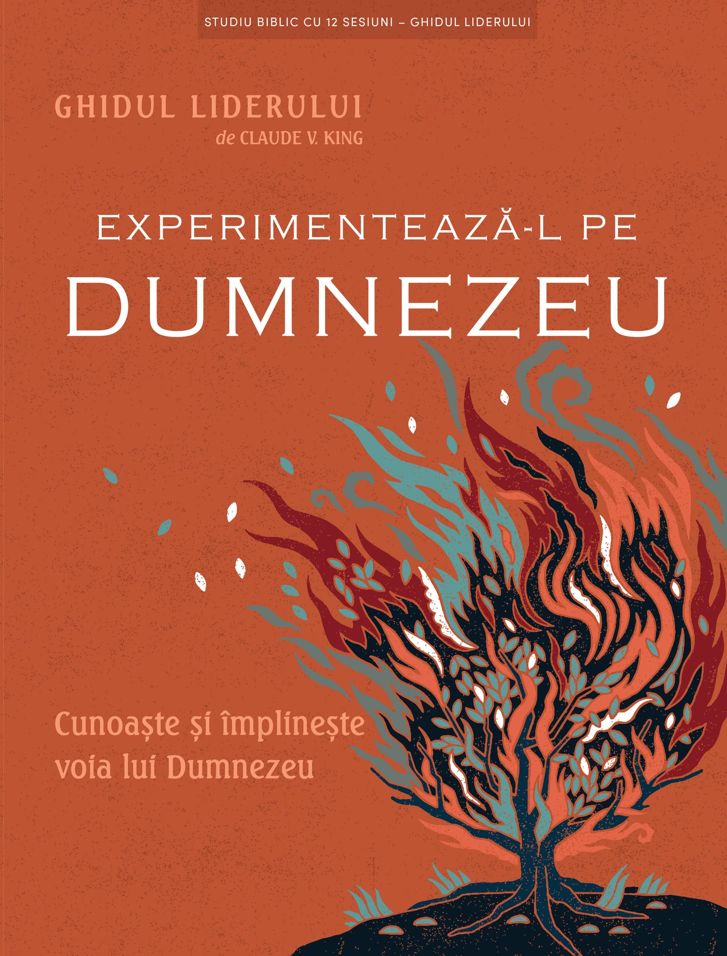Experimentează-L pe Dumnezeu – Ghidul liderului