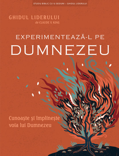 Experimentează-L pe Dumnezeu – Ghidul liderului
