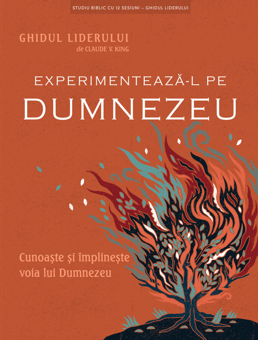 Experimentează-L pe Dumnezeu – Ghidul liderului