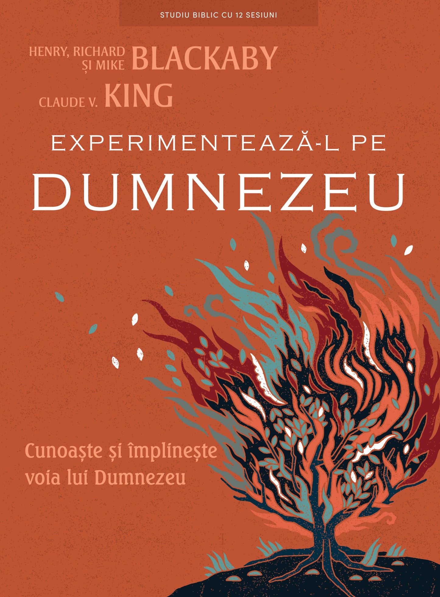 Experimentează-L pe Dumnezeu – Manual de studiu